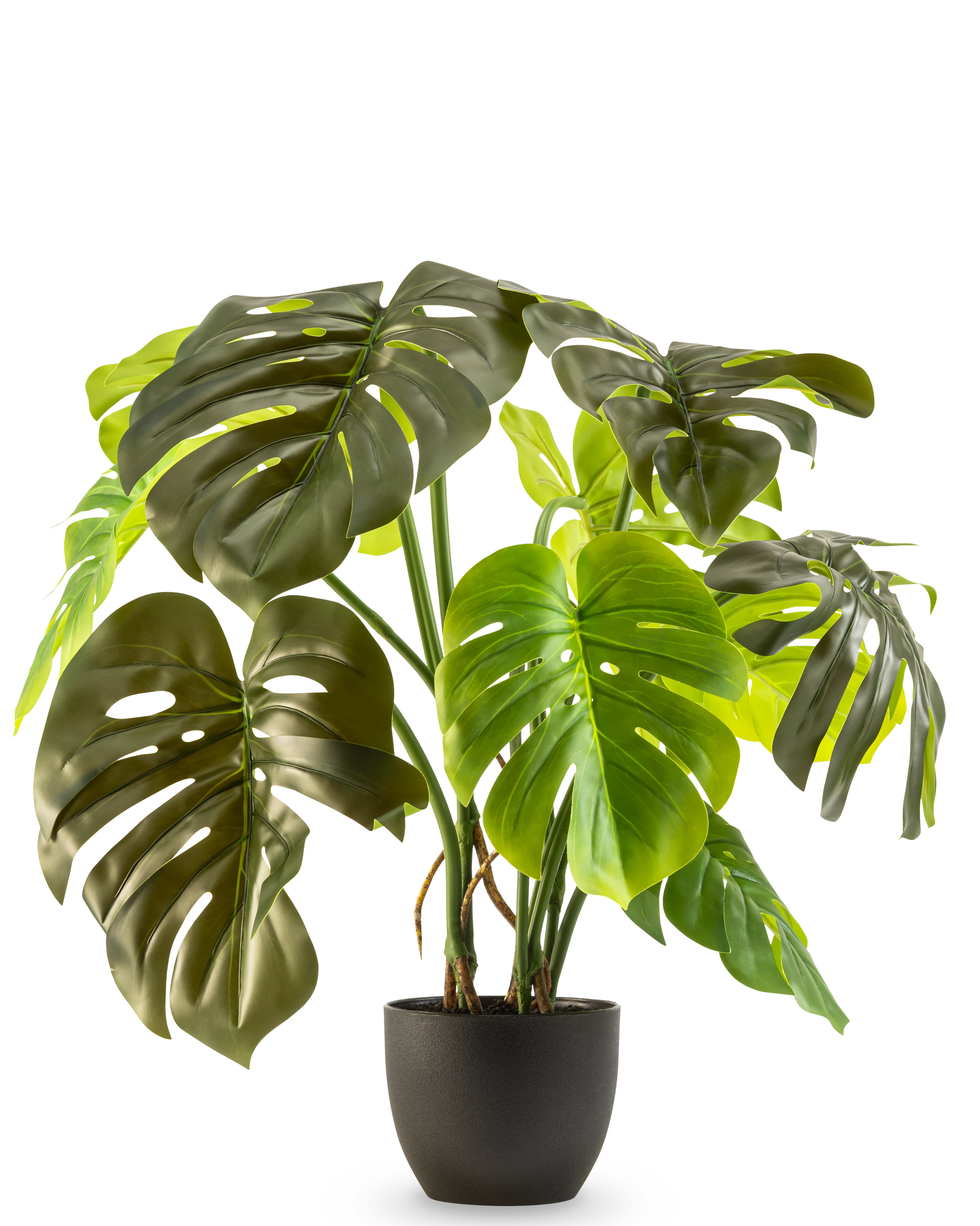 Künstliche Monstera 50 cm – Easyplants Deutschland