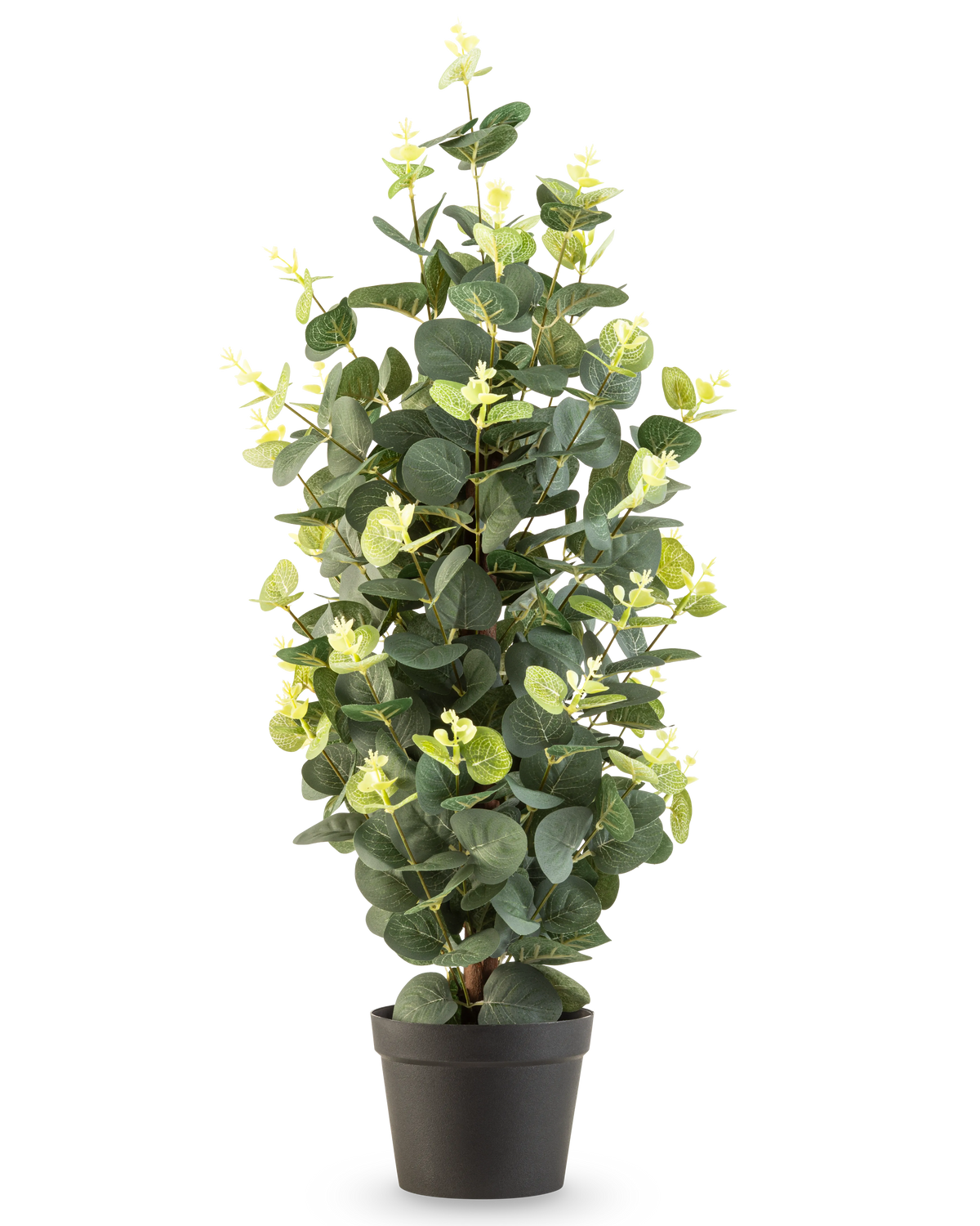 Die Kunstpflanze Eukalyptus 61 cm ist eine Kunstpflanze im Topf mit grünen Blättern in einem schlichten schwarzen Topf, die aufrecht vor einem weißen Hintergrund steht.