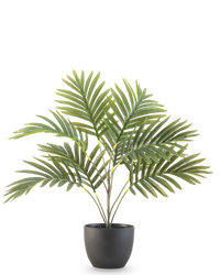 Künstliche Palme Phoenix 50 cm im dekorativen Topf schwarz