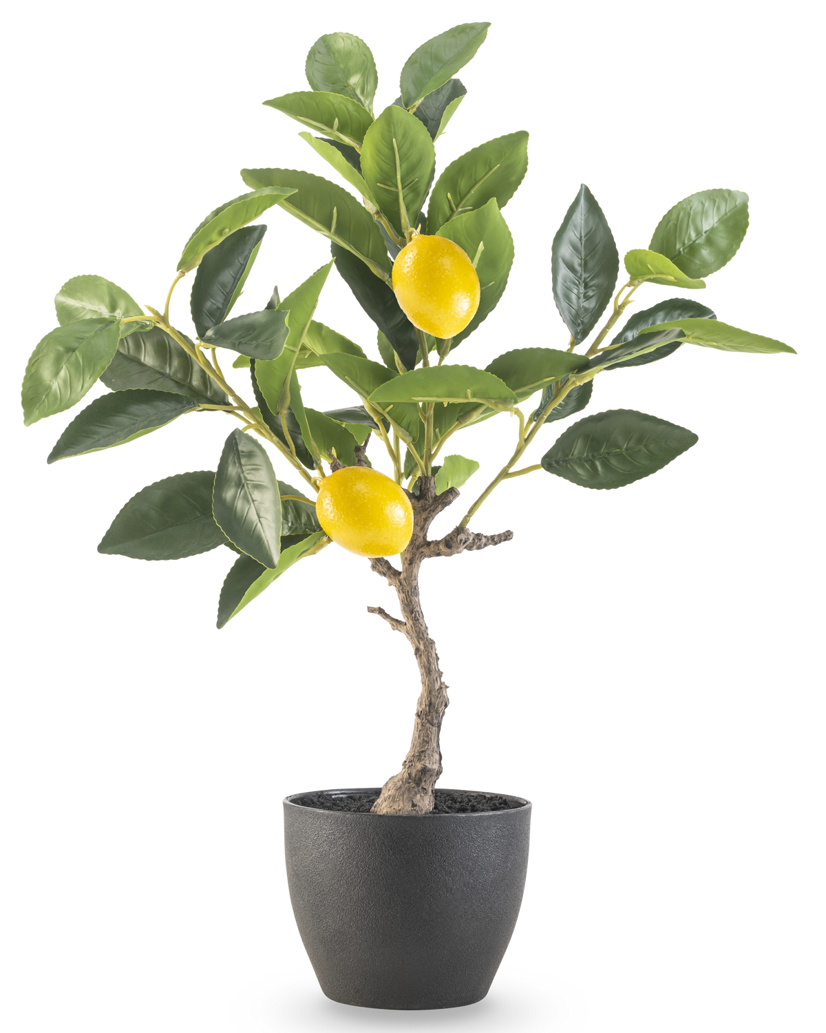Künstlicher Zitronenbaum 40 cm – Easyplants Deutschland