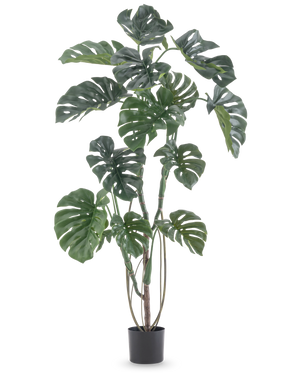 De Kunstplant Monstera 150 cm is een hoge kunstplant met grote gespleten groene bladeren in een eenvoudige zwarte pot, tegen een effen witte achtergrond.