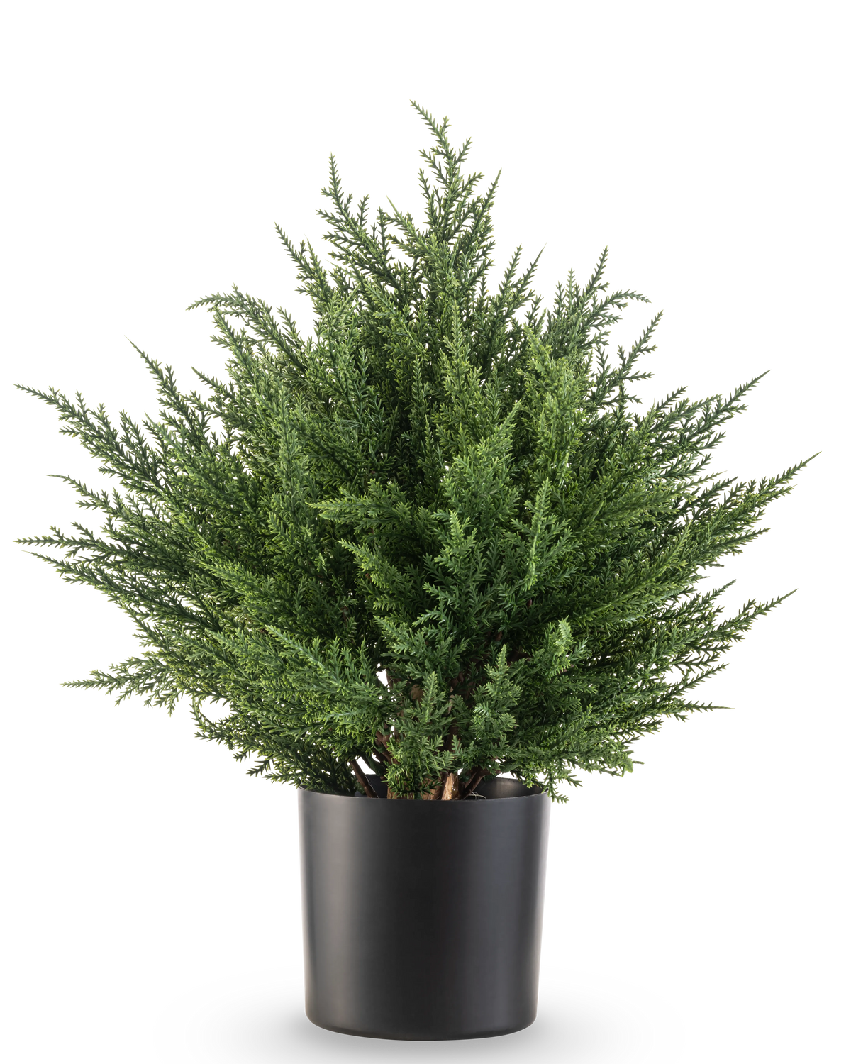 Kunstpflanze Konifere Deluxe UV 40 cm – Easyplants Deutschland