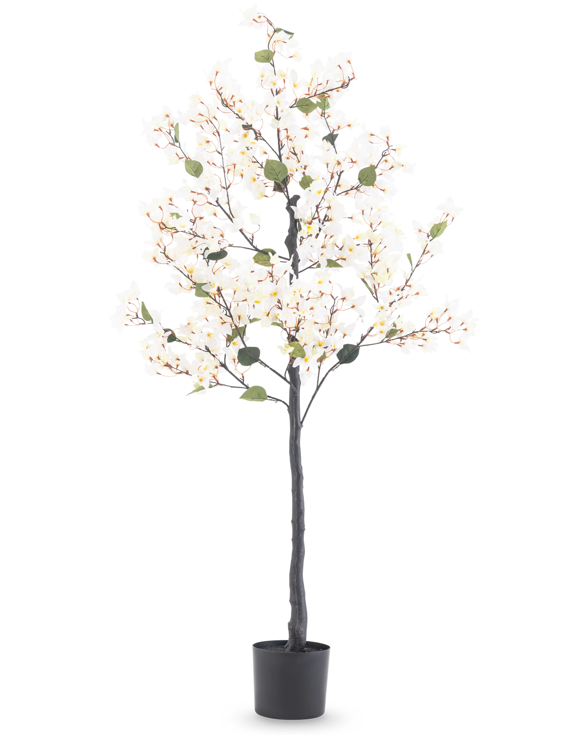 Die künstliche Bougainvillea 150 cm weiß ist ein hoher Kunstbaum mit weißen Blütenlichtern und grünen Blättern, in einem schwarzen zylindrischen Topf vor einem schlichten weißen Hintergrund.