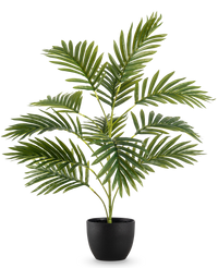 Künstliche Palme Phoenix 65 cm im dekorativen Topf schwarz