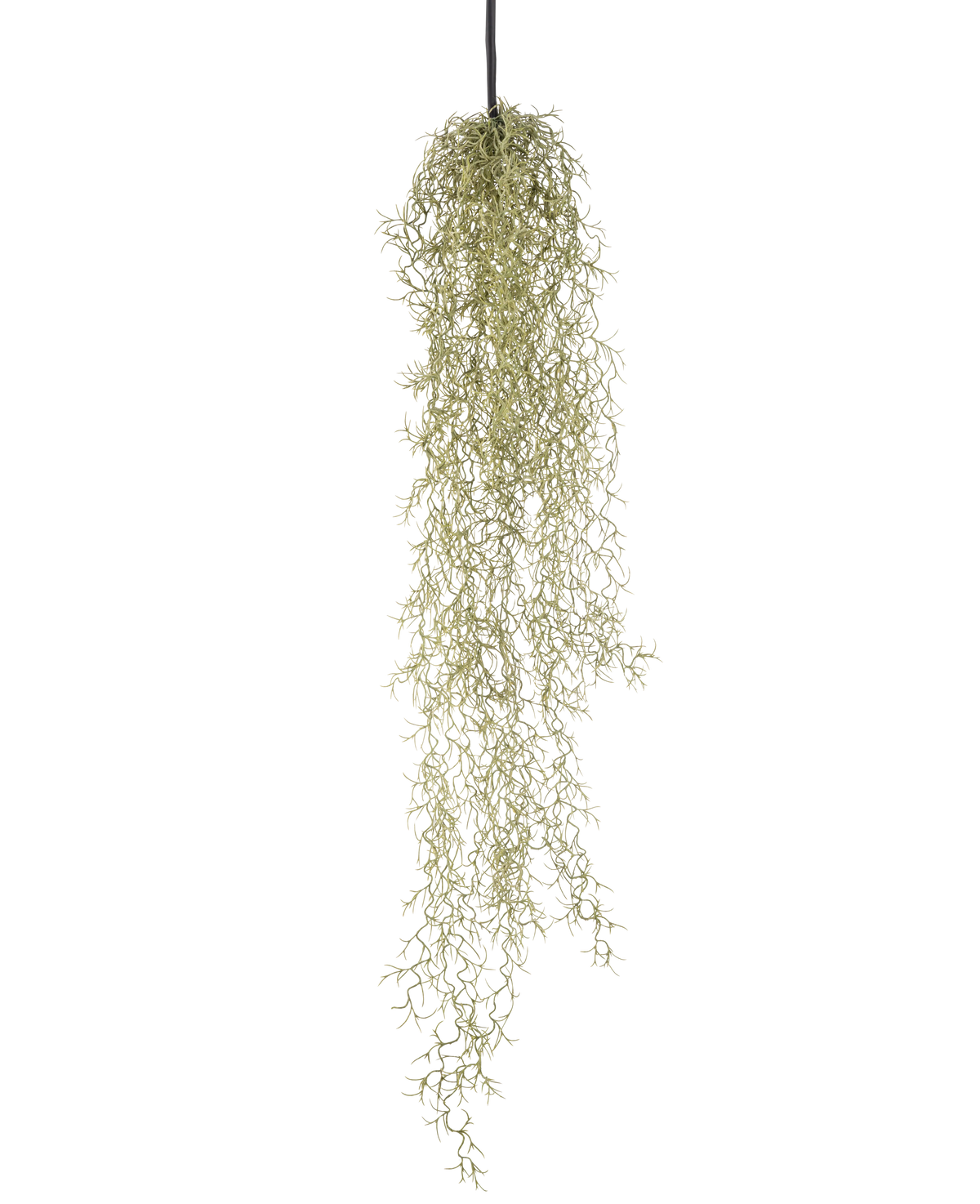 Eine künstliche Hängepflanze Grass 91 cm mit langen, nachhängenden hellgrünen Blättern hängt an einer schwarzen Kordel vor einem schlichten weißen Hintergrund.