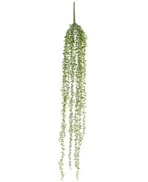 De Kunst hangplant Senecio 91 cm heeft lange, hangende stengels met kleine groene blaadjes, waardoor een elegante kunst hangplant ontstaat tegen een effen witte achtergrond.