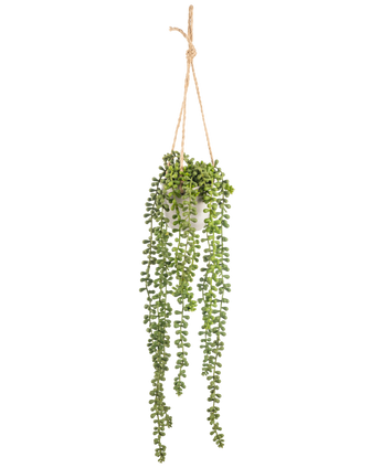 Künstliche Hängepflanze Senecio im Topf 55 cm – Easyplants Deutschland