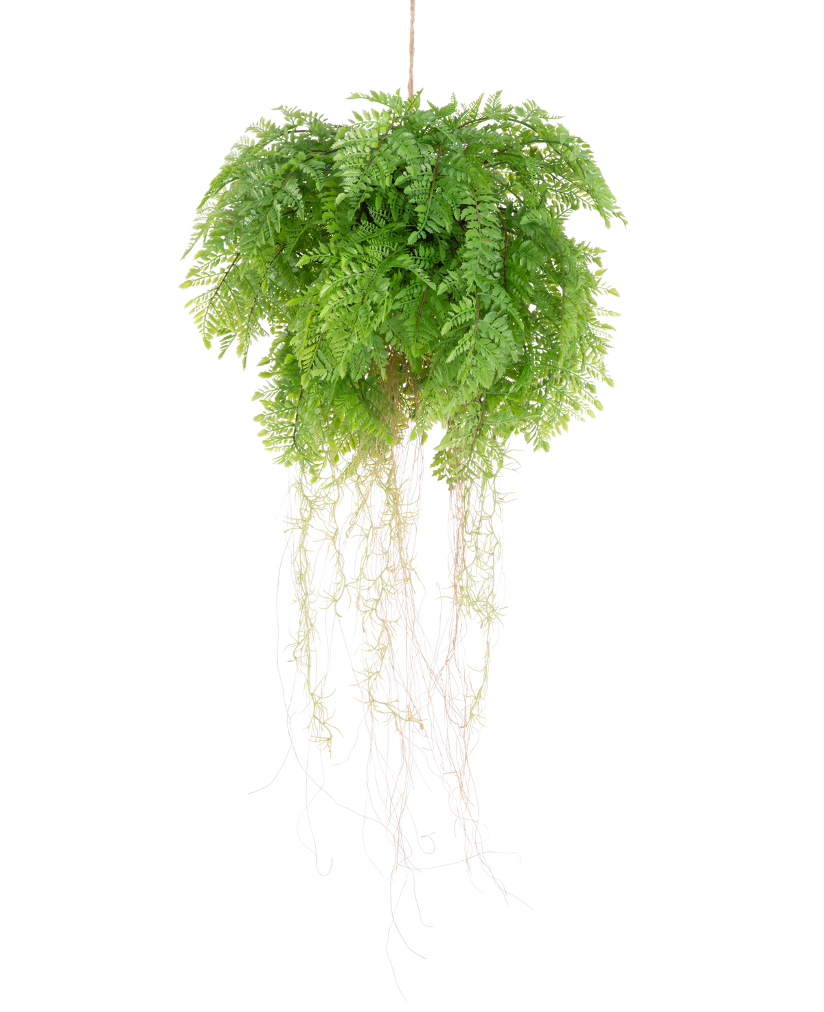Künstliche Hängepflanze Farn mit Wurzeln d55 cm – Easyplants Deutschland