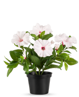 In een zwarte pot staat de Kunstbloem Petunia plant 25 cm roze, met verschillende lichtroze, vijfbladerige bloemen met een donkerroze hart en gele meeldraden, tegen een effen witte achtergrond.