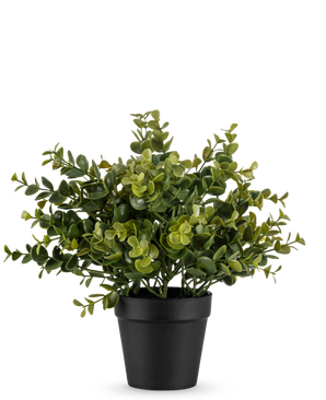 De Kunstplant Pumila 25 cm is een kleine kunstplant in pot met weelderige groene bladeren in een eenvoudige zwarte pot, afgebeeld tegen een effen witte achtergrond.