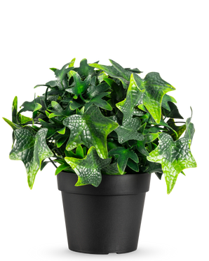 De Kunstplant Klimop in pot UV 20 cm heeft groene, stervormige kunstmatige klimopbladeren in een eenvoudige zwarte pot, afgebeeld tegen een witte achtergrond.