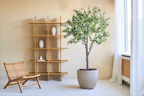 Künstlicher Olivenbaum 200 cm – Easyplants Deutschland