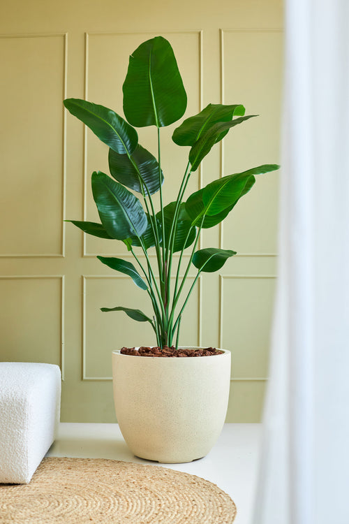 Künstliche Pflanze Strelitzia 180 cm – Easyplants Deutschland