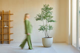 Eine Person in Grün geht an der künstlichen Ruscus-Pflanze 180 cm vorbei, einer hohen Topfpflanze in einem minimalistischen Raum mit hellen Wänden, einem Fenster und einem Holzregal. Die Figur erscheint vage in Bewegung.