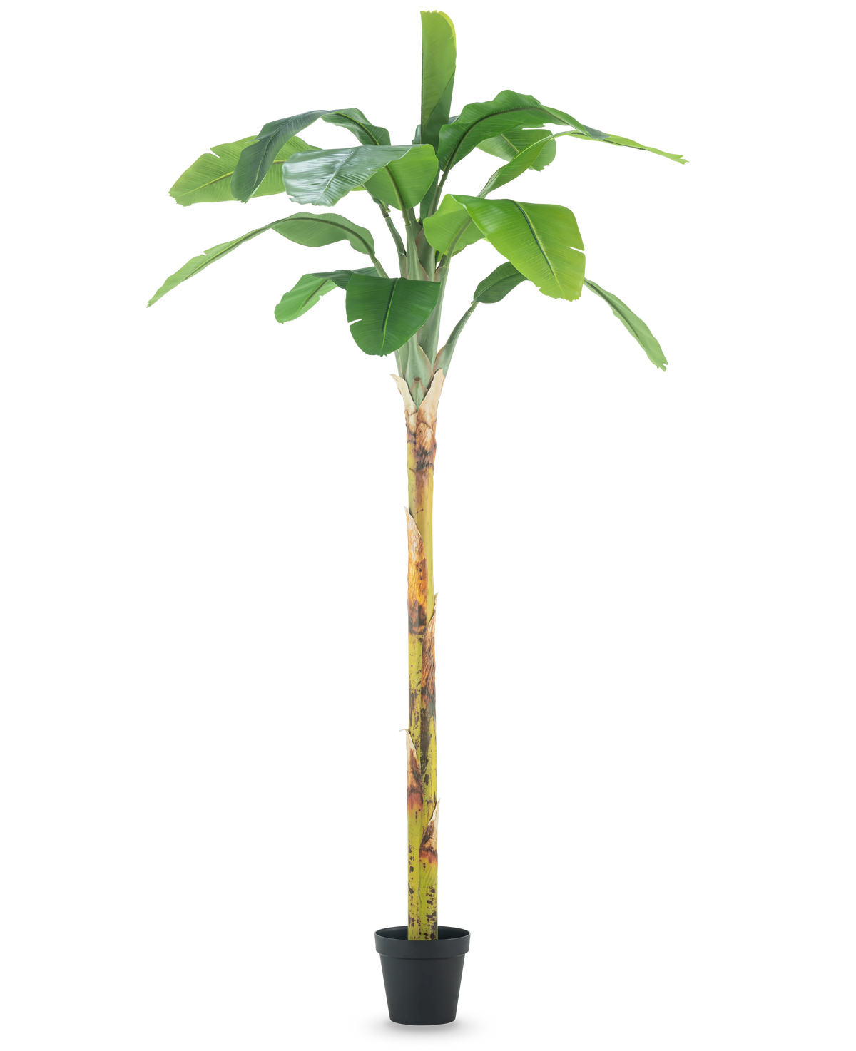 Künstlicher Bananenbaum 250 cm – Easyplants Deutschland