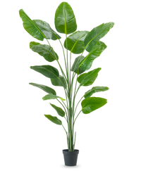 Künstliche Pflanze Strelitzia 240 cm real touch