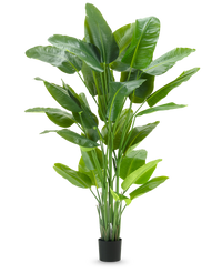 Kunstpflanze Strelitzia Real Touch Deluxe 210 cm