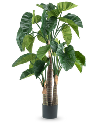 Künstliche Pflanze Alocasia 150 cm