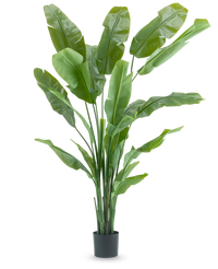 Kunstpflanze Strelitzia Nicolai Deluxe 215 cm