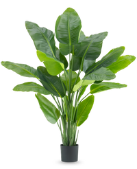 Kunstpflanze Strelitzia Real Touch Deluxe 180 cm