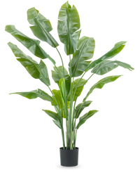 Kunstpflanze Strelitzia Nicolai Deluxe 180 cm
