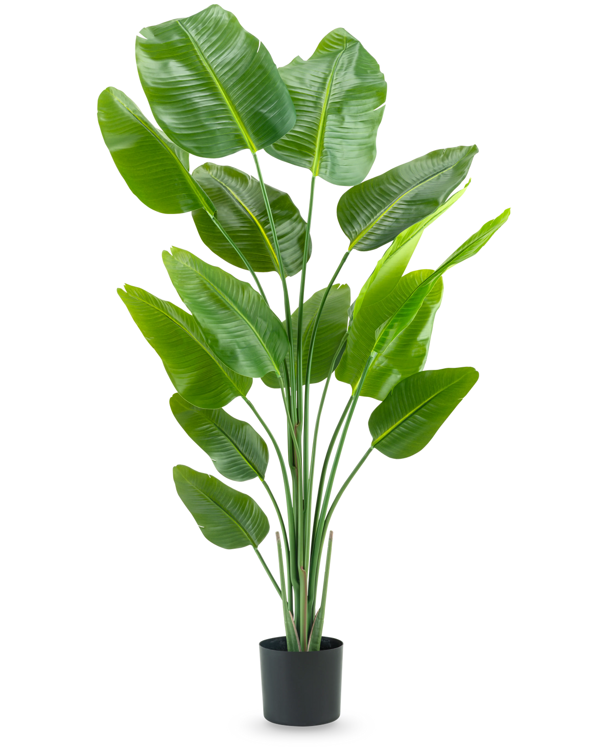 Künstliche Pflanze Strelitzia 180 cm – Easyplants Deutschland