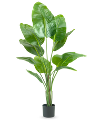 Künstliche Pflanze Strelitzia 150 cm real touch