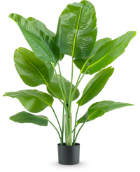 Kunstpflanze Strelitzia Real Touch Deluxe 120 cm
