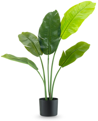 Kunstpflanze Strelitzia Nicolai Deluxe 105 cm