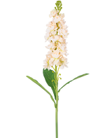 Een enkele Kunstbloem Violier 78 cm crème heeft meerdere licht crème bloesems en groene bladeren tegen een effen witte achtergrond.
