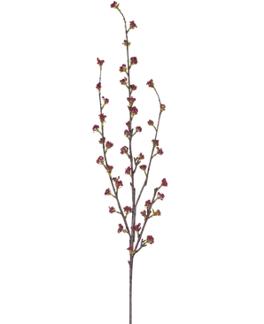 Der künstliche Zweig Callicarpa 104 cm lila hat schlanke Zweige mit mehreren dünnen Stielen, die jeweils mit kleinen Büscheln tiefvioletter Knospen vor einem schlichten weißen Hintergrund verziert sind.