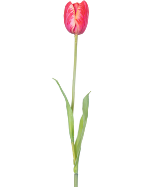 Een enkele Kunstbloem Franse Tulp 60 cm rood met levendige rode bloemblaadjes en groene blaadjes op een steel, tegen een witte achtergrond.