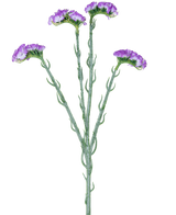 De Kunsttak Statice 64 cm paars heeft een enkele groene stengel met vijf takken, elk bedekt met clusters van kleine, paarse bloemen met ruches, tegen een witte achtergrond.