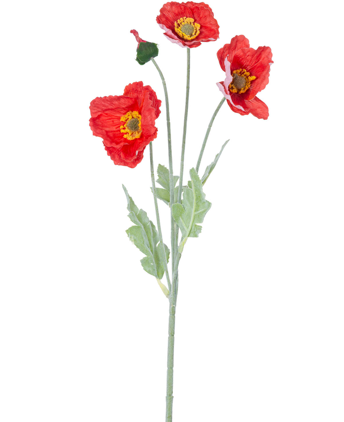 Die künstliche Mohnblume Real Touch rot 60 cm hat einen einzelnen Stiel mit drei leuchtend roten Mohnblüten, einer geschlossenen Knospe und grünen Blättern vor einem schlichten weißen Hintergrund.