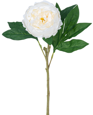 De Kunstpioen Real Touch Wit 58cm heeft een enkele witte pioen met gelaagde bloemblaadjes en een geel hart op een lange groene steel met meerdere grote groene bladeren, tegen een effen witte achtergrond.