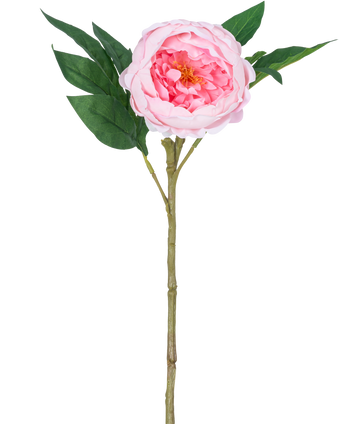 Künstliche Pfingstrose Real Touch Rosa 58cm – Easyplants Deutschland