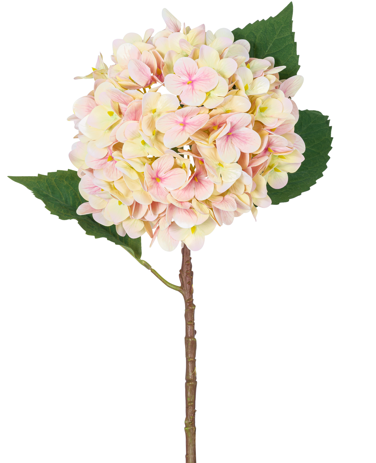 Die künstliche Blumenhortensie Real Touch Pink 58 cm ist ein einzelner künstlicher Hortensienstiel mit zartrosa Blütenblättern und zwei großen grünen Blättern, der sich perfekt zur Dekoration eignet und vor einem weißen Hintergrund präsentiert wird.