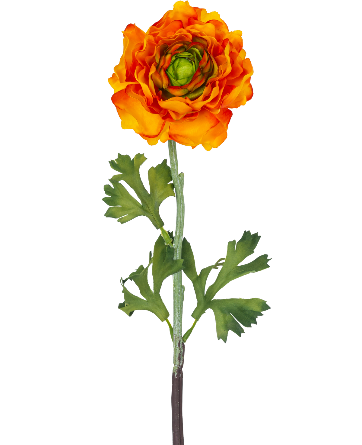 Die künstliche Ranunkelblume 51 cm orange ist eine künstliche orangefarbene Ranunkelblume mit geschichteten Blütenblättern und grünen Blättern auf einem langen Stiel, die sich perfekt als dekorativer Akzent eignet.