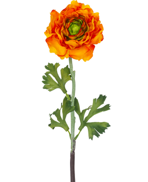 De Kunstbloem Ranonkel 51 cm oranje is een kunst oranje ranonkel bloem met gelaagde bloemblaadjes en groene blaadjes op een lange steel, perfect als decoratief accent.