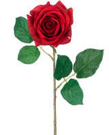 De Kunstroos "Emine" Real Touch Rood 43cm heeft een enkele rode roos met levendige groene bladeren op een lange steel, tegen een effen witte achtergrond.
