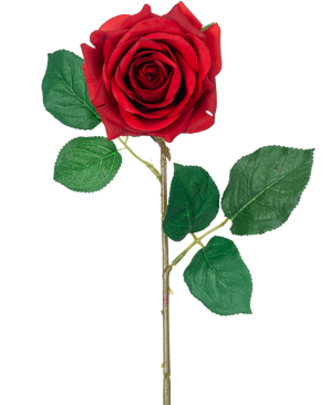 De Kunstroos "Emine" Real Touch Rood 43cm heeft een enkele rode roos met levendige groene bladeren op een lange steel, tegen een effen witte achtergrond.