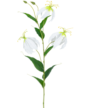De Kunstbloem Gloriosa Real Touch Wit 75 cm heeft een enkele groene steel met drie open witte Gloriosa bloemen, twee knoppen, lange gele meeldraden en langwerpige groene bladeren tegen een effen witte achtergrond.