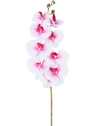 Künstliche Orchidee Real Touch Deluxe 105 cm rosa/weiß