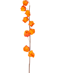 Künstliche Blume Physalis Lampion 90 cm orange