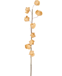 Künstliche Blume Physalis lampion 90 cm braun