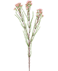 Künstlicher Zweig Waxflower 78 cm rosa