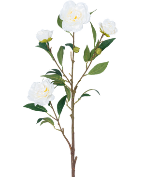 De Kunstbloem Camellia 80 cm wit heeft een enkele bruine steel met meerdere groene bladeren en verschillende witte camelia bloemen, sommige bloeiend en anderen in knopvorm, allemaal tegen een effen witte achtergrond.
