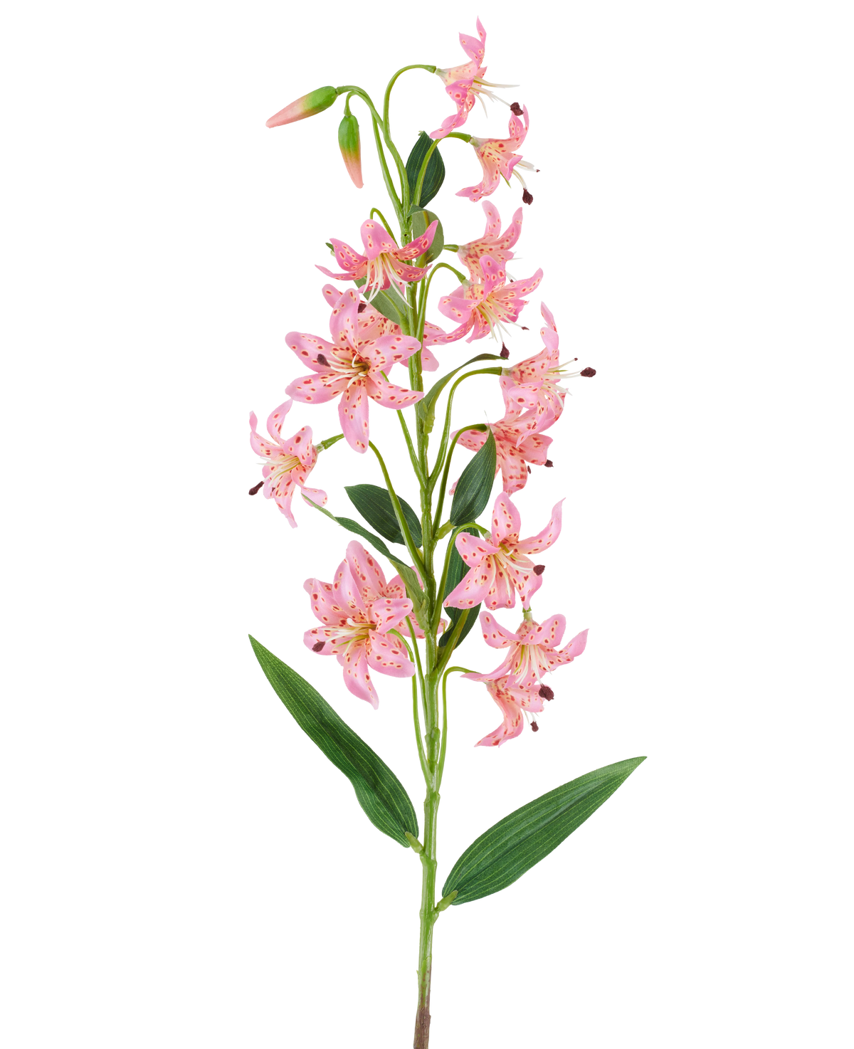 Ein einzelner Stiel der künstlichen Blumenlilie 82 cm in Fuchsia mit leuchtend fuchsiafarbenen Lilienblüten mit dunklen Flecken, grünen Blättern und Knospen vor einem weißen Hintergrund.