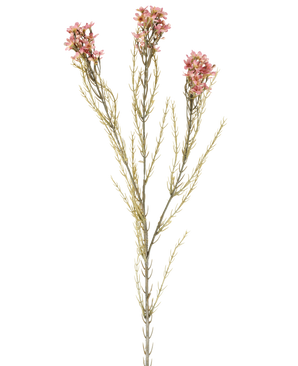 Eine einzelne 78 cm große künstliche Wachsblume in Altrosa hat einen grünen Stiel mit drei Zweigen, die jeweils kleine, zarte Altrosablüten und dünne, nadelartige Blätter tragen, die vor einem schlichten weißen Hintergrund zur Geltung kommen.