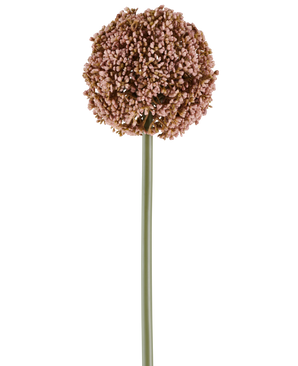 Eine einzelne künstliche Alliumblume von 75 cm in Lila mit einem langen grünen Stiel und einer großen, runden Gruppe kleiner lila Knospen, abgebildet auf einem weißen Hintergrund.